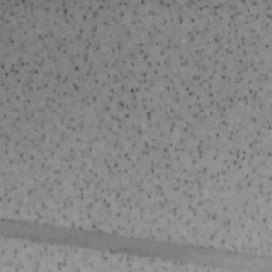 Meet your Posher, Nevaeh